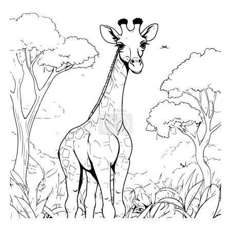 Téléchargez les illustrations : Girafe dans la savane. Illustration vectorielle noir et blanc - en licence libre de droit