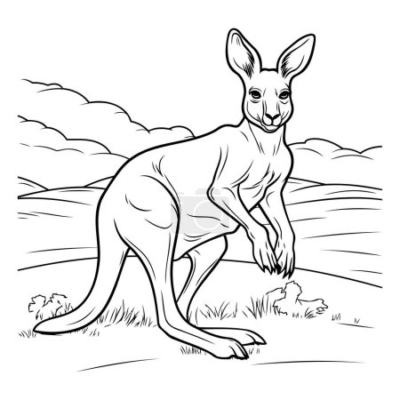 Téléchargez les illustrations : Kangourou. kangourou australien. illustration vectorielle noir et blanc - en licence libre de droit