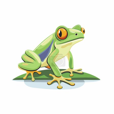 Illustration for Cartoon green frog isolated on a white background. Vector illustration. - Royalty Free Image