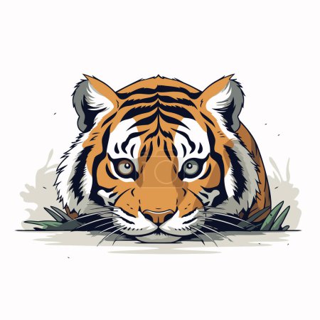 Ilustración de Ilustración del vector de cabeza de tigre. Aislado sobre un fondo blanco. - Imagen libre de derechos