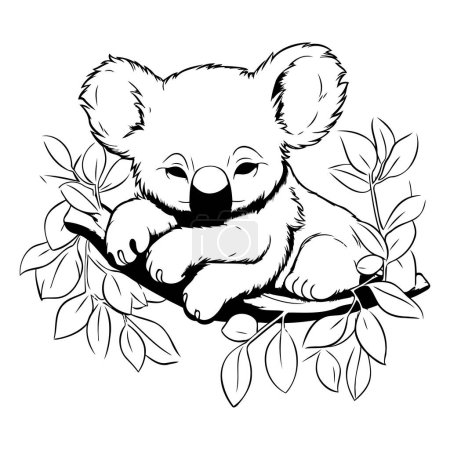 Illustration for Koala bear sitting on a branch. Black and white vector illustration. - Royalty Free Image