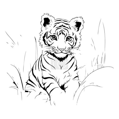 Téléchargez les illustrations : Illustration vectorielle en noir et blanc d'un tigre assis dans l'herbe. - en licence libre de droit