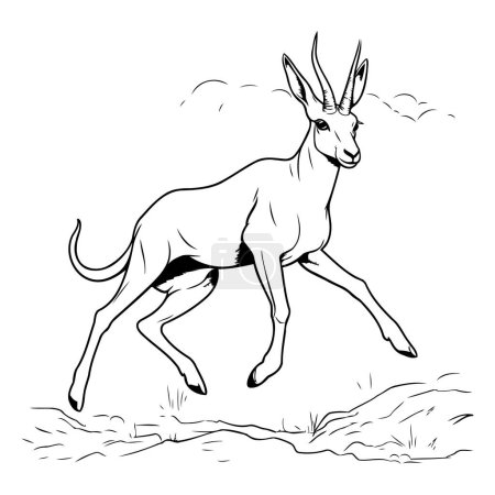 Téléchargez les illustrations : Image vectorielle d'une gazelle sur fond blanc. Croquis. - en licence libre de droit