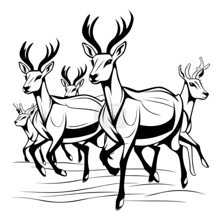 Téléchargez les illustrations : Illustration en noir et blanc d'un groupe de cerfs avec bois - en licence libre de droit