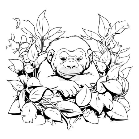 Illustration for Gorilla and leaves. Coloring book for adults. Vector illustration. - Royalty Free Image