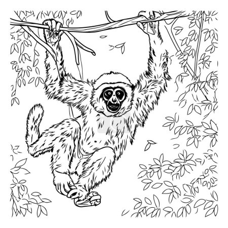 Téléchargez les illustrations : Gibbon accroché à une branche. Illustration vectorielle dessinée main. - en licence libre de droit