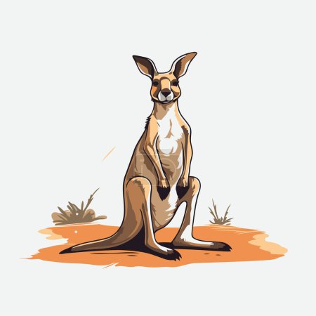 Illustration for Kangaroo sitting on the ground. Vector illustration for your design - Royalty Free Image