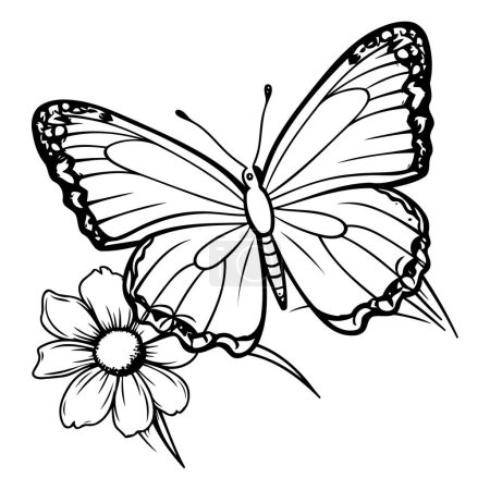 Illustration for Butterfly on a white background. black and white. vector illustration - Royalty Free Image