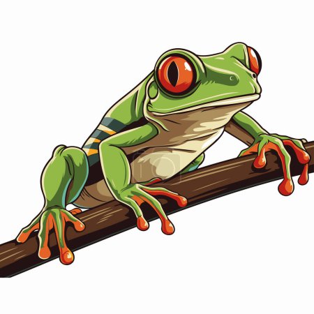 Frog on a branch isolated on white background. Vector illustration.