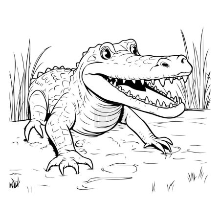 Illustration for Crocodile in the grass. Black and white vector illustration. - Royalty Free Image