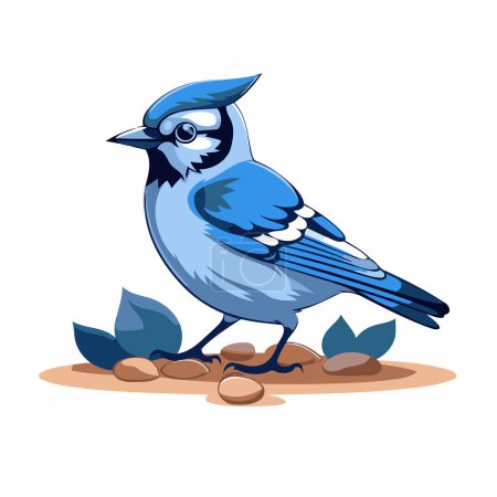 Illustration for Blue jay bird isolated on a white background. Vector illustration. - Royalty Free Image