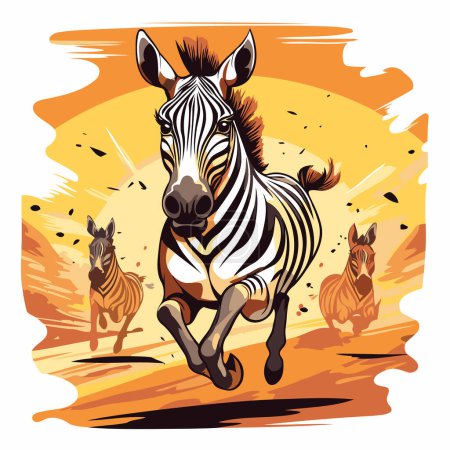 Zebra running on the sunset background. Vector illustration for your design