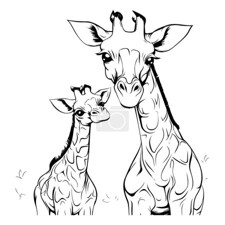 Téléchargez les illustrations : Mère girafe avec son bébé. Illustration vectorielle isolée sur fond blanc. - en licence libre de droit