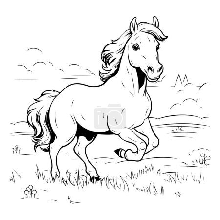 Téléchargez les illustrations : Illustration vectorielle en noir et blanc d'un cheval courant dans le champ. - en licence libre de droit
