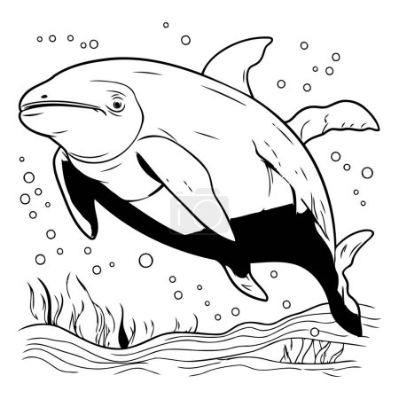 Ilustración de Ilustración de dibujos animados en blanco y negro de un pez mamífero o una ballena asesina - Imagen libre de derechos