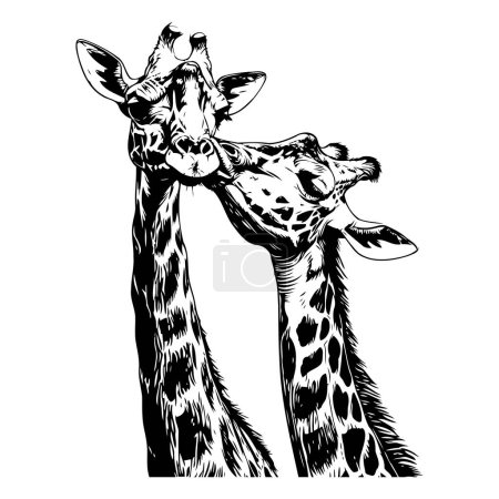 Téléchargez les illustrations : Tête et cou de girafe. Illustration vectorielle d'une girafe. - en licence libre de droit