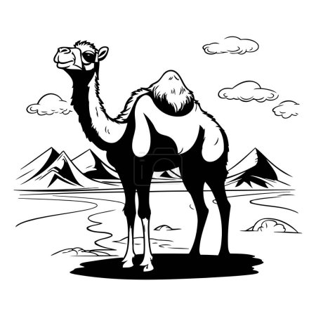 Téléchargez les illustrations : Chameau dans le désert. Illustration vectorielle. Noir et blanc. - en licence libre de droit
