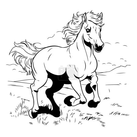 Téléchargez les illustrations : Cheval sur la prairie. Illustration vectorielle noir et blanc. - en licence libre de droit