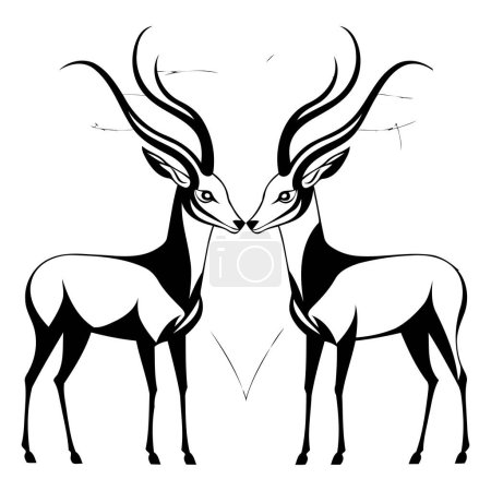 Ilustración de Ilustración en blanco y negro de un par de antílopes de impala - Imagen libre de derechos