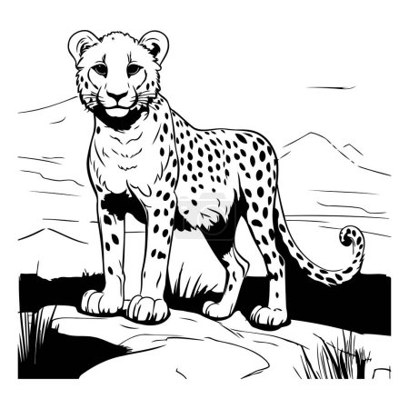 Illustration for Cheetah sits on a rock. black and white vector illustration - Royalty Free Image