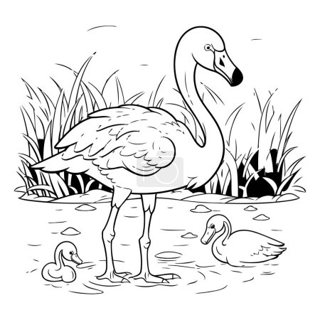 Illustration for Flamingo with ducklings. Vector illustration for coloring book. - Royalty Free Image