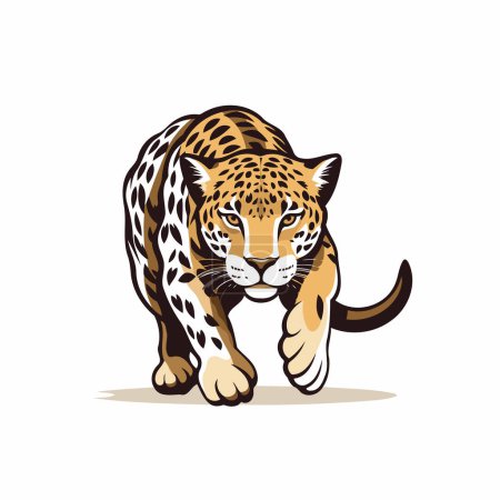 Ilustración de Ilustración de un guepardo en estilo de dibujos animados sobre fondo blanco - Imagen libre de derechos