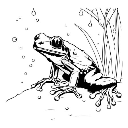 illustration of a frog sitting on a rock in the pond.