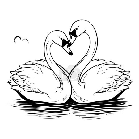Téléchargez les illustrations : Deux cygnes amoureux. Illustration vectorielle noir et blanc pour livre à colorier. - en licence libre de droit