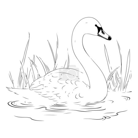 Ilustración de Cisne en el lago. Ilustración vectorial en blanco y negro para colorear libro. - Imagen libre de derechos