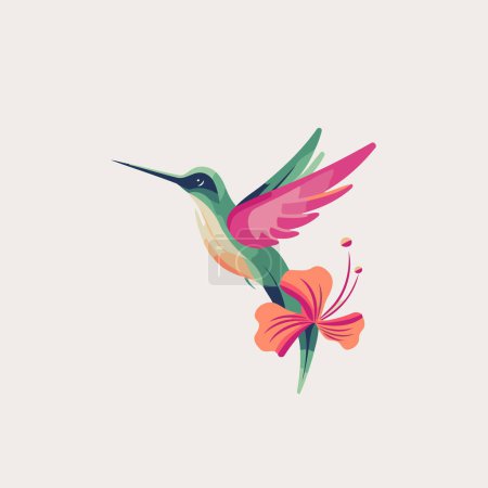 Téléchargez les illustrations : Colibri et fleur d'hibiscus. Illustration vectorielle
. - en licence libre de droit