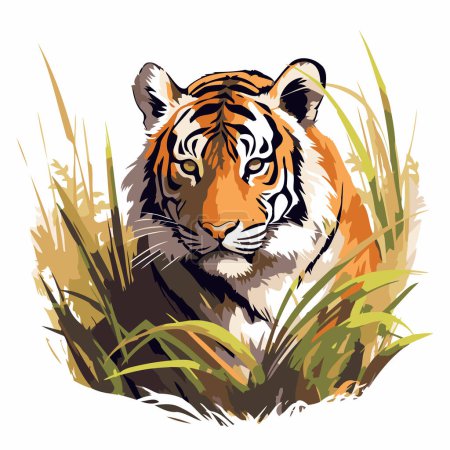 Téléchargez les illustrations : Tigre dans l'herbe. Illustration vectorielle sur fond blanc. - en licence libre de droit