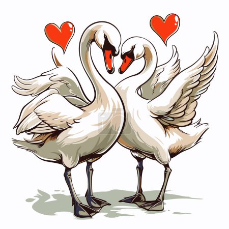 Illustration for Two white swans in love with hearts. Vector illustration. Isolated on white background. - Royalty Free Image