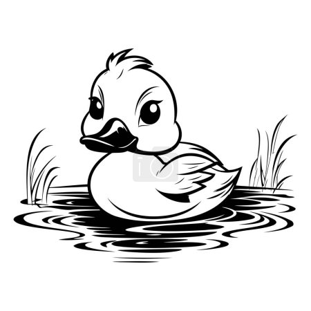 Ilustración de Pato nadando en el lago. Ilustración vectorial en blanco y negro. - Imagen libre de derechos