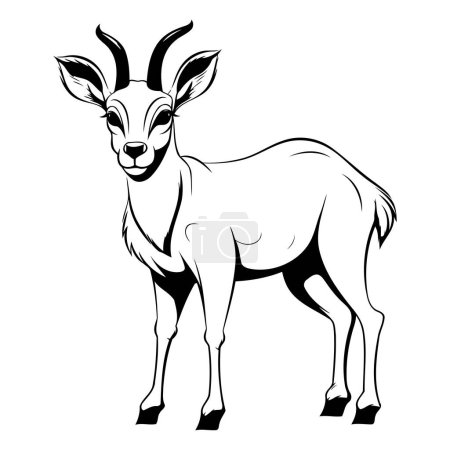 Téléchargez les illustrations : Image vectorielle d'une antilope sur fond blanc. Objet isolé. - en licence libre de droit