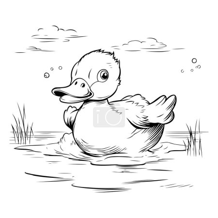 Ilustración de Pato nadando en el estanque. Ilustración vectorial en blanco y negro. - Imagen libre de derechos