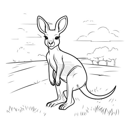 Illustration for Kangaroo vector illustration. Hand drawn kangaroo in the field. - Royalty Free Image