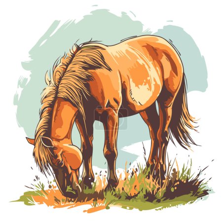 Illustration for Horse grazing in the meadow. Vector illustration of a horse. - Royalty Free Image