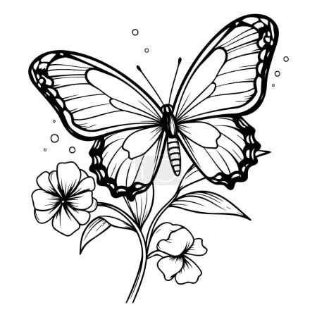Illustration for Butterfly and flower. Black and white vector illustration for coloring book. - Royalty Free Image