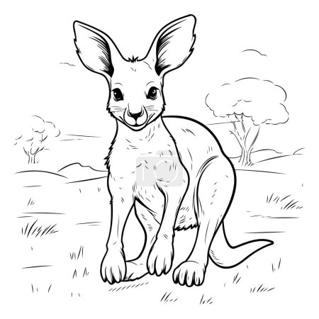 Illustration for Kangaroo in the wild. sketch vector illustration for your design - Royalty Free Image