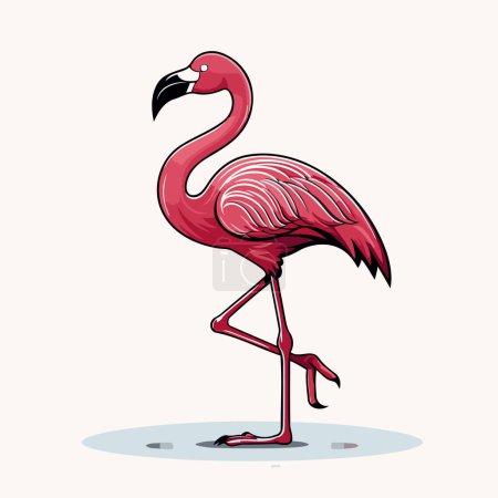 Ilustración de Flamingo. Ilustración vectorial. Aislado sobre fondo blanco. - Imagen libre de derechos