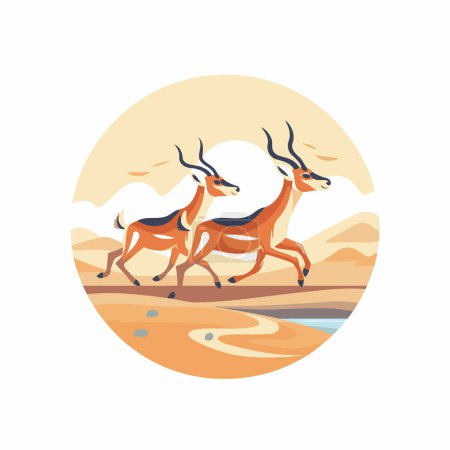 Impala in the desert. African animal. Vector illustration in flat style