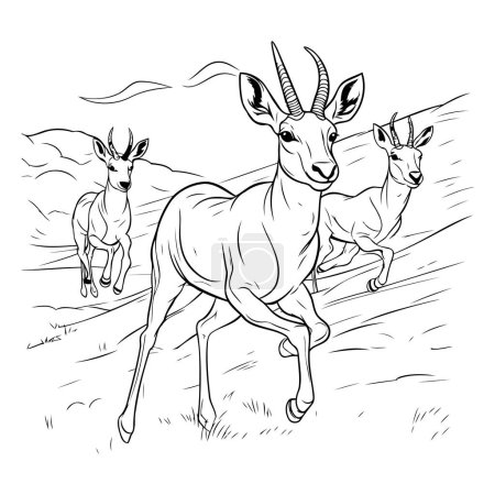 Téléchargez les illustrations : Illustration vectorielle noire et blanche de l'antilope et de la gazelle. - en licence libre de droit