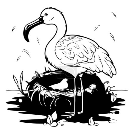 Illustration for Flamingo in the nest. black and white vector illustration. - Royalty Free Image