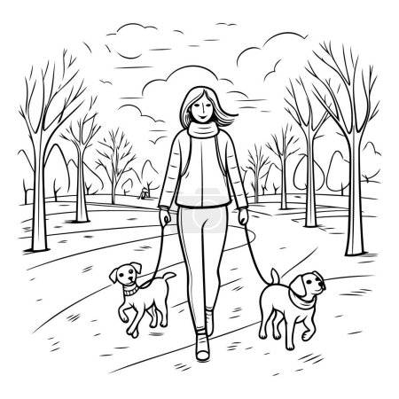 Illustration for Woman walking with her dogs in the park. Hand drawn vector illustration. - Royalty Free Image