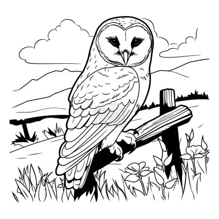 Illustration for Owl sitting on a bench in the garden. Black and white vector illustration. - Royalty Free Image