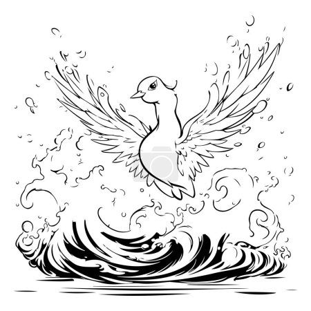 Illustration for Flying duck on a sea wave. Black and white vector illustration. - Royalty Free Image