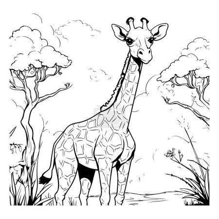 Téléchargez les illustrations : Girafe dans la savane. Illustration vectorielle noir et blanc. - en licence libre de droit