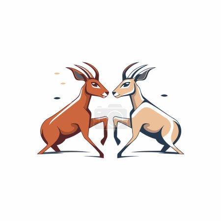 Téléchargez les illustrations : Image vectorielle d'une paire d'antilopes sur fond blanc. - en licence libre de droit