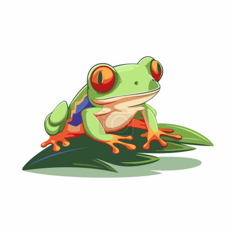 Frog cartoon icon. Vector illustration of a green frog isolated on white background.