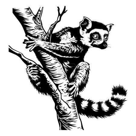 Ilustración de Lemur trepando a un árbol. Ilustración vectorial en blanco y negro - Imagen libre de derechos